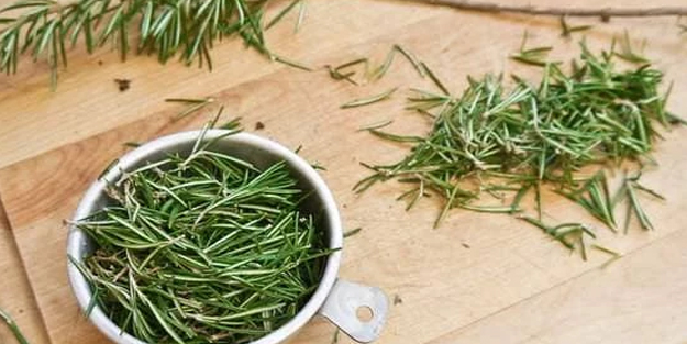 Biberiye yağı nasıl yapılır? kokusu parfüm gibi boşaltıldı! Süper besin öyle bir faydası var ki, paranızı çöpe atmayın