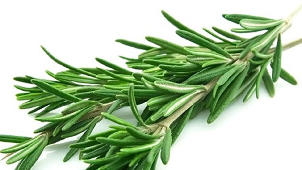 Biberiyenin faydaları nelerdir? Ne sarmısak ne zencefil Böylesi görülmedi