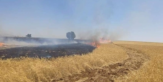 Biçerdöver, hasat için girdiği 7 dekar araziyi kül etti!