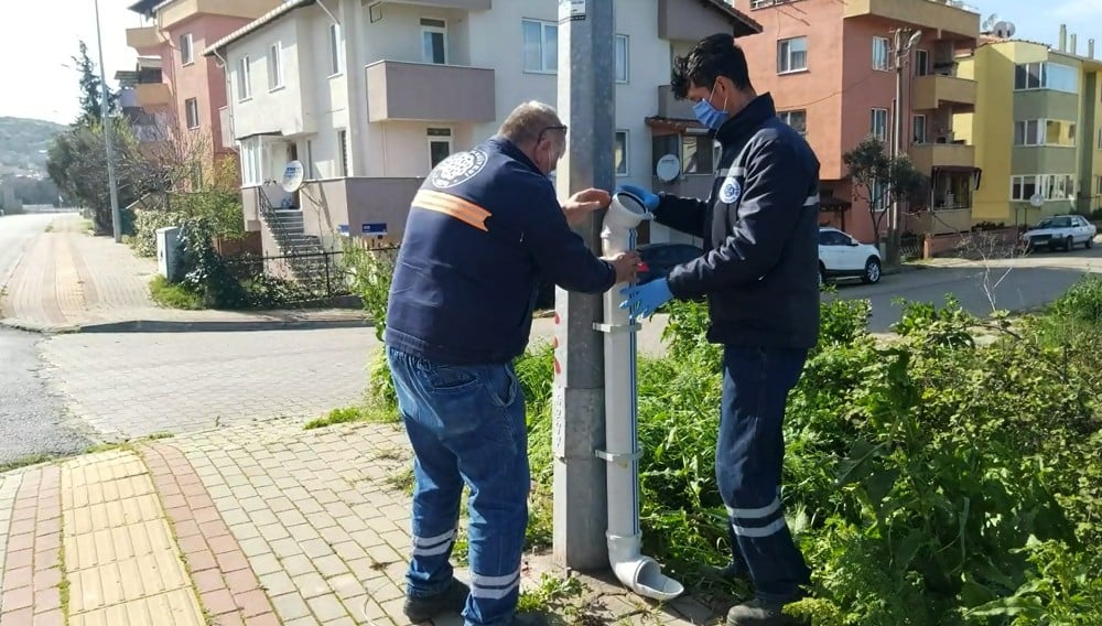 Biga Belediyesi sokak hayvanlarını unutmadı 