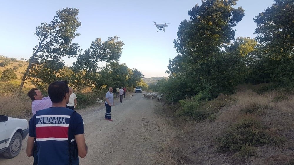 Biga’da kaybolan 56 koyunu jandarma buldu 