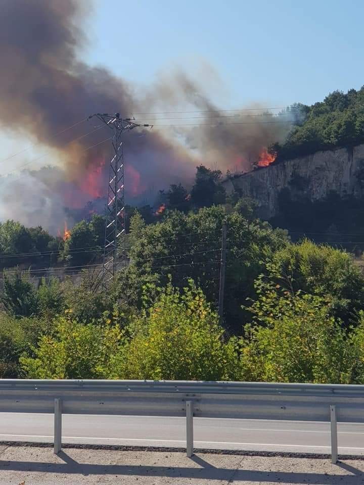 Biga’da orman yangını 