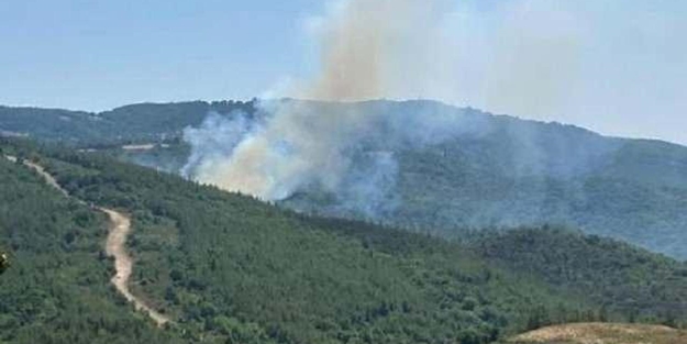 Biga'da orman yangını!