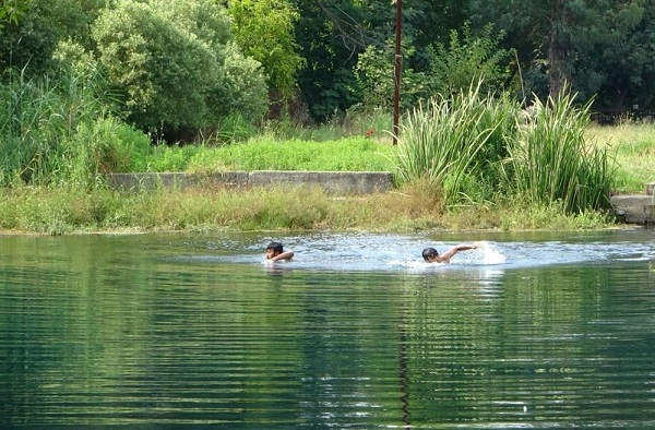 Bile bile ölüme atlıyorlar