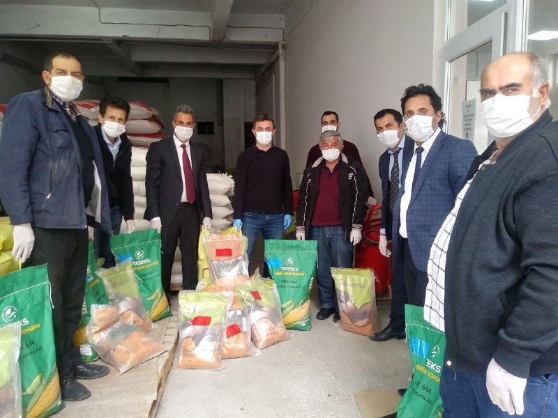 Bilecik il genelinde çiftçilere 5 ton sertifikalı yonca tohumu temin edildi 