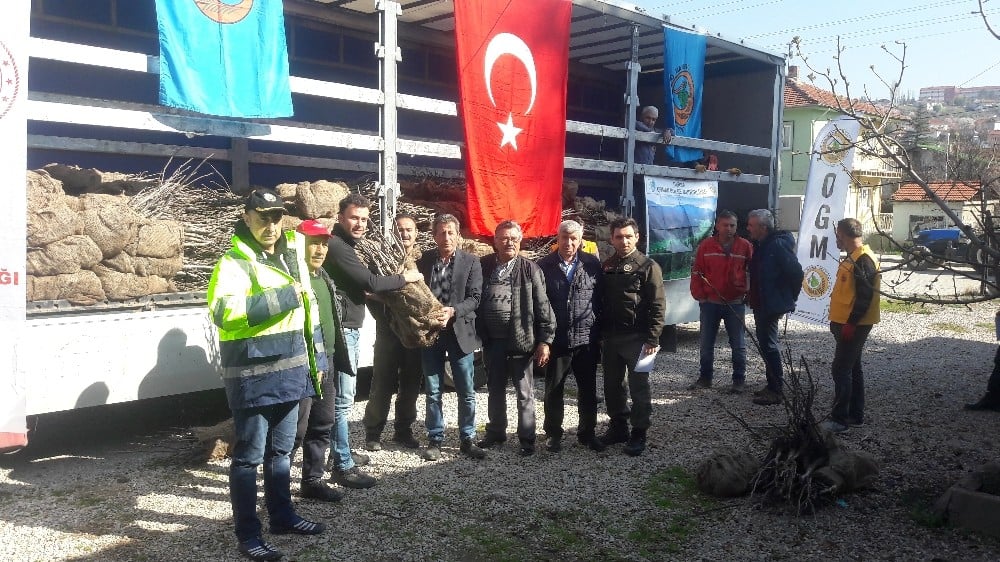 Bilecik’te 12 köye 13 bin fidan dağıtıldı 