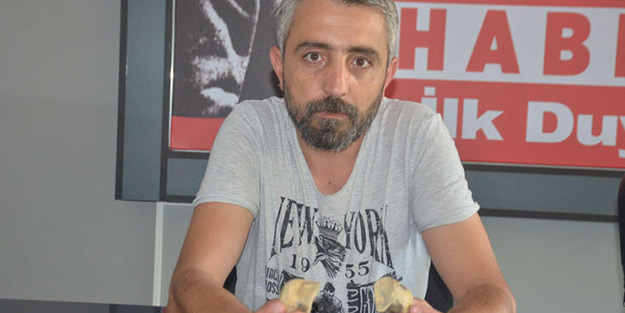 Bilecik'te buldu! Yetkililere çağrıda bulundu
