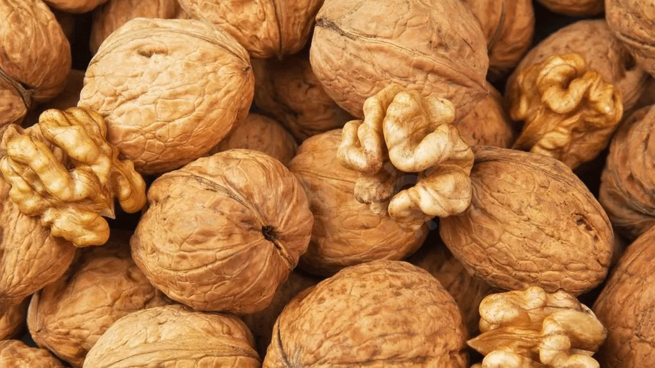 Bilecik’te ceviz hasadı başladı! Türkiye'nin zirvesine oynuyor!