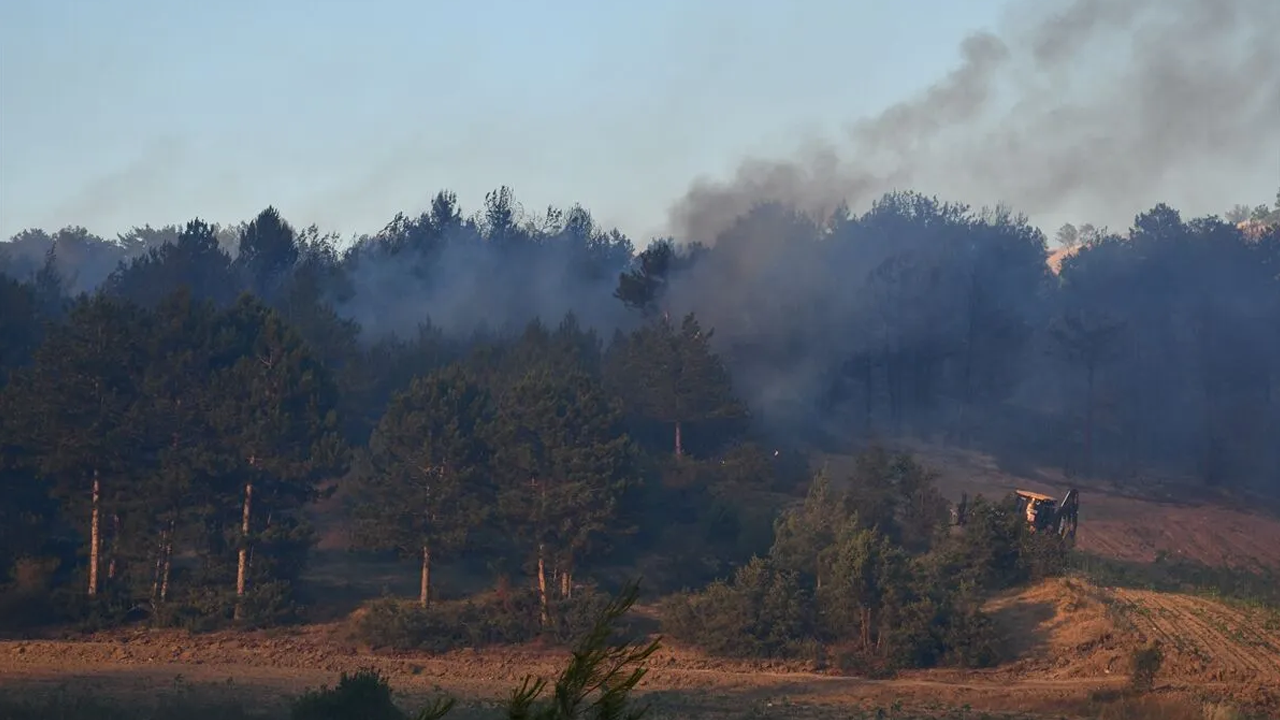 Bilecik'te çıkan orman yangını kontrol altına alındı