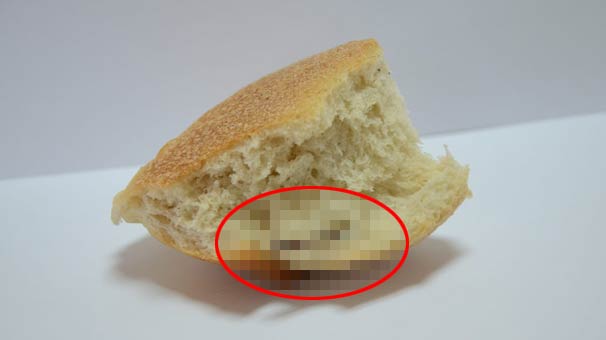 Bilecik'te ekmeğin içinden bu çıktı! Gören dehşete düştü...
