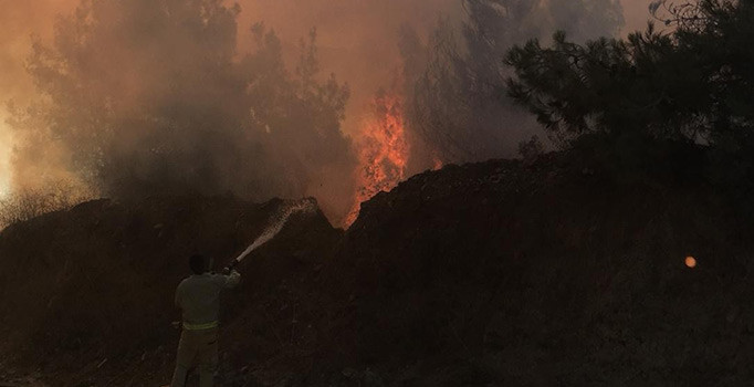 Bilecik'te korkutan orman yangını çıktı