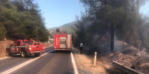 Bilecik'te makilik alanda yangın! Ekipler olay yerinde