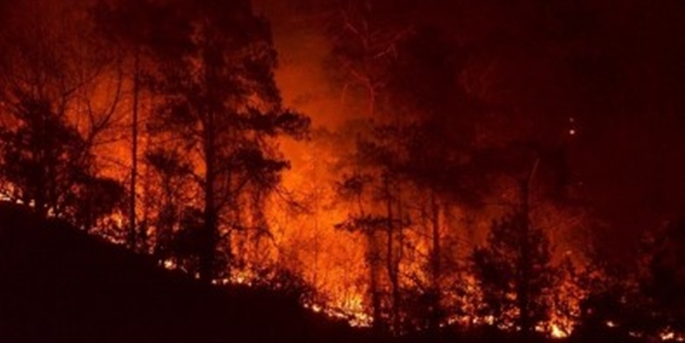 Bilecik'te orman yangını paniği!