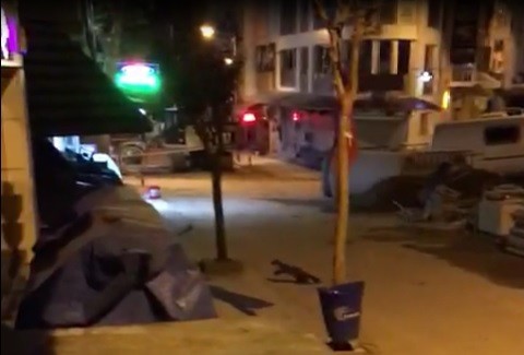 Bilecik’te sansar şaşkınlığı 