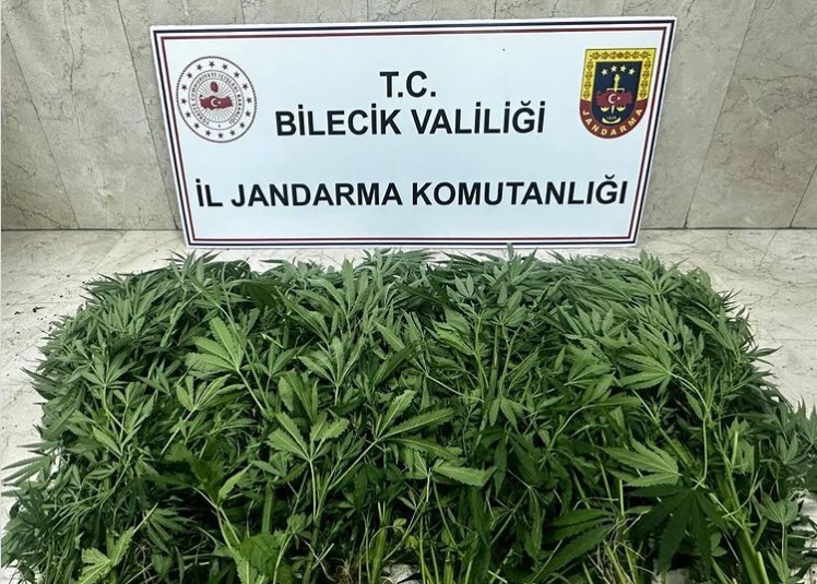 Bilecik'te uyuşturucu operasyonu: 2 şüpheli tutuklandı