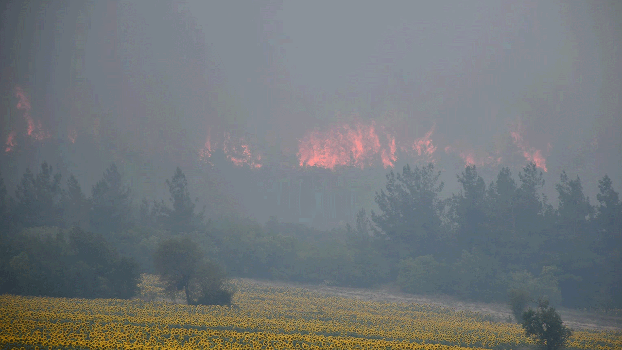 Bilecik’teki orman yangını söndürüldü! Havadan ve karadan müdahale sonuç verdi