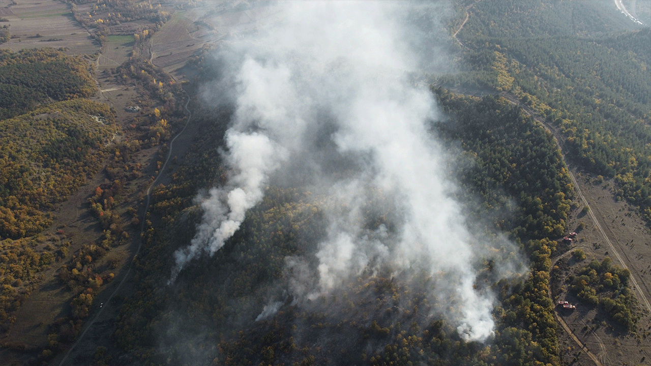 Bilecik'teki yangına müdahale ediliyor