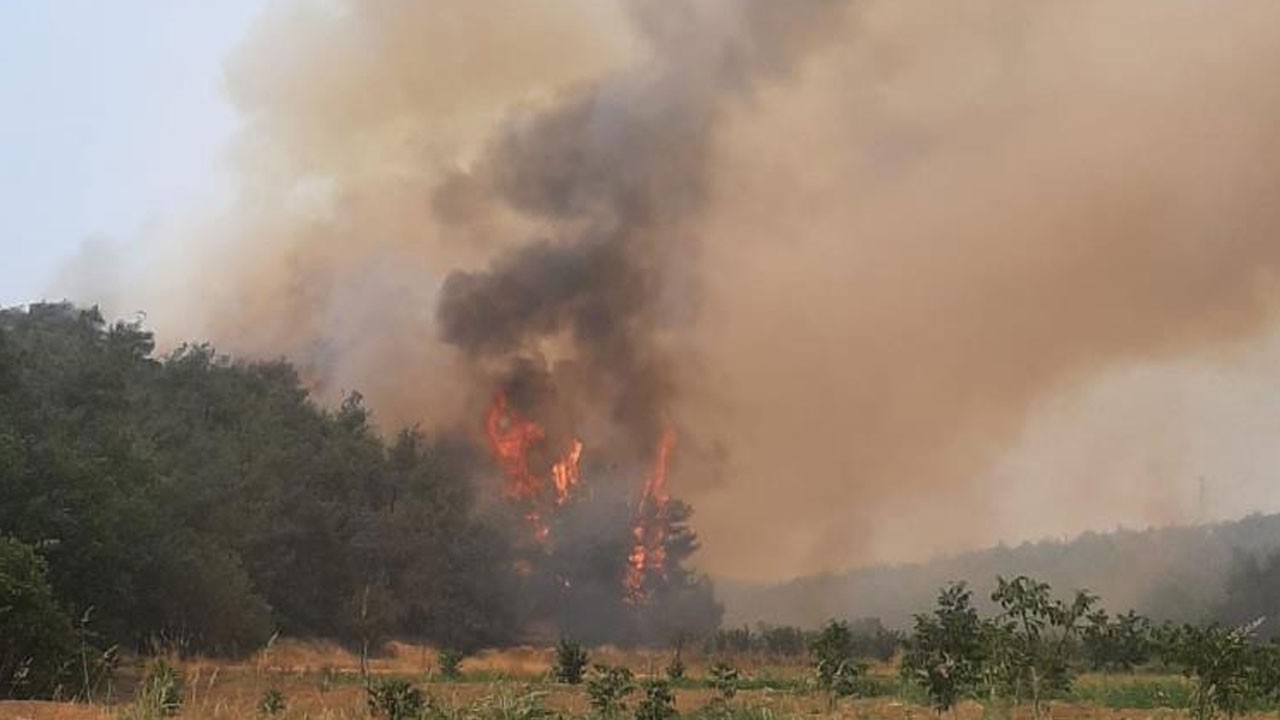 Bilecik'ten kötü haber