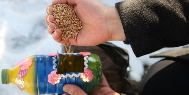 Bilgievlerinden örnek proje: ‘Kuşlar üşümesin’