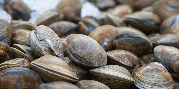 Bilim dünyası bile bu buluş karşısında şaşkın! 17 kat dayanıklı çimento üretildi