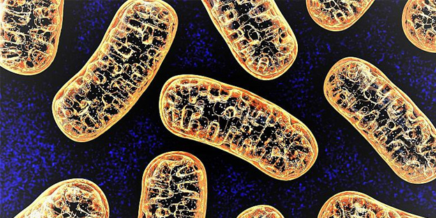 Bilim dünyasında bir ilk! DNA'nın yapısını değiştirdiler
