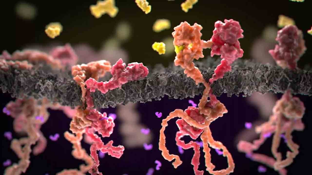 Bilim dünyasından kritik keşif: Kanseri gizleyen mekanizma çözüldü