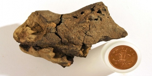 Bilim adamları şokta! Bilim dünyasının en büyük keşfi