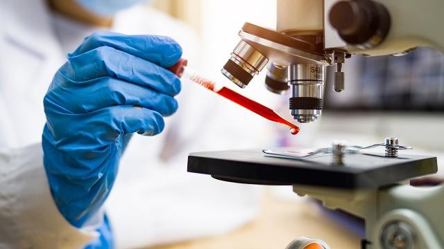 Bilim insanları 48 bin 500 yıllık virüsü yeniden canlandırdı