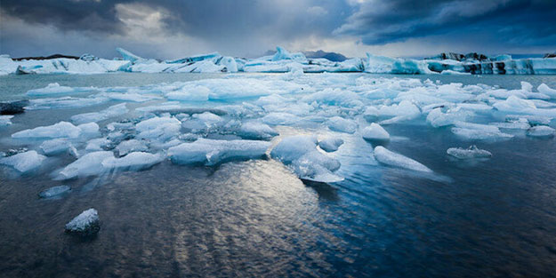Bilim insanları açıkladı: Binlerce canlı türü kutuplara göç etmeye başladı
