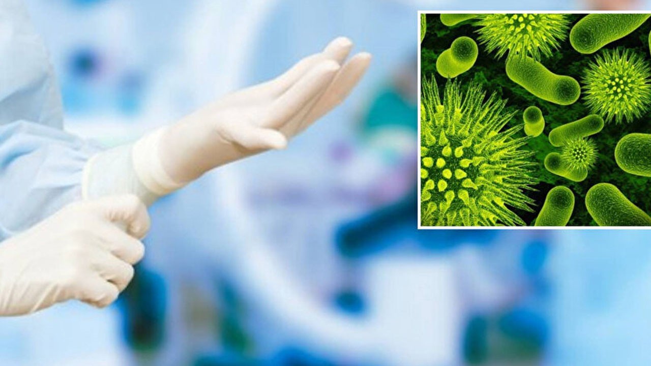 Hastane malzemelerini yiyen yeni bir bakteri türü keşfedildi!