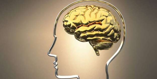 Bilim insanları beyin için en iyi iki aktivite bu diyerek duyurdu! Büyük sürpriz: bağlantı bunda! İlişkin açıklama