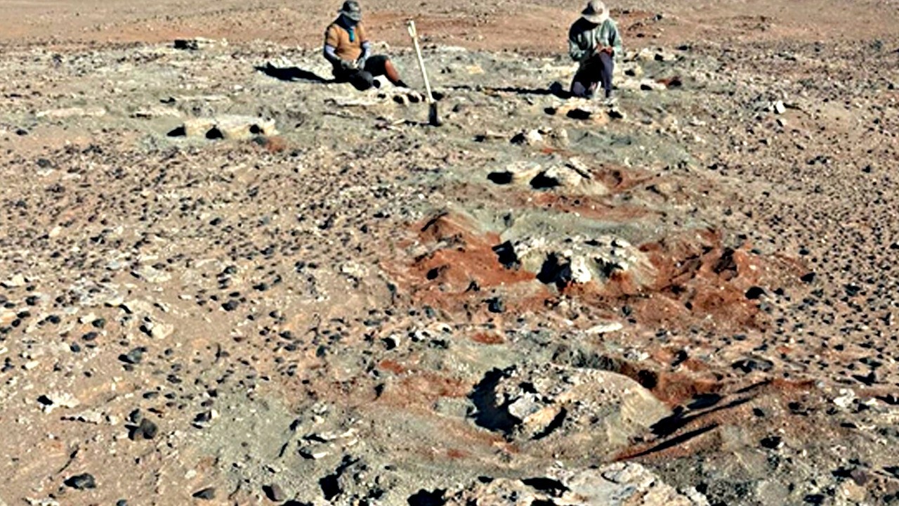 Bilim insanları: Dev iki ayaklı dinozor bulundu diyerek dev keşfi anlattı!