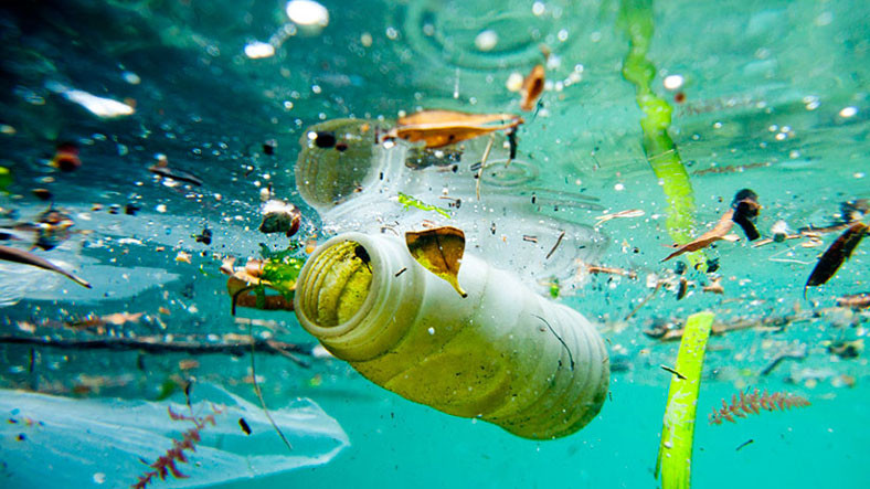 Bilim İnsanları, doğa katili plastikleri çözebilen bir enzim geliştirdiler!