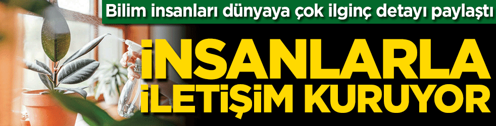 Bilim insanları dünyaya çok ilginç detayı paylaştı! İnsanlar ve bitkiler arasında iletişim