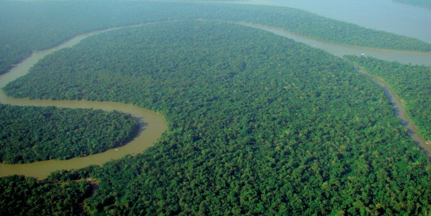 Bilim insanları dünyaya ilan etti! Korkulan maalesef oldu