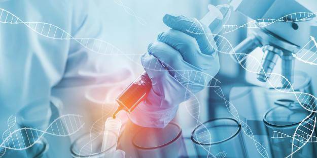 Bilim insanları farelerde doku gençleştirmeyi başardı