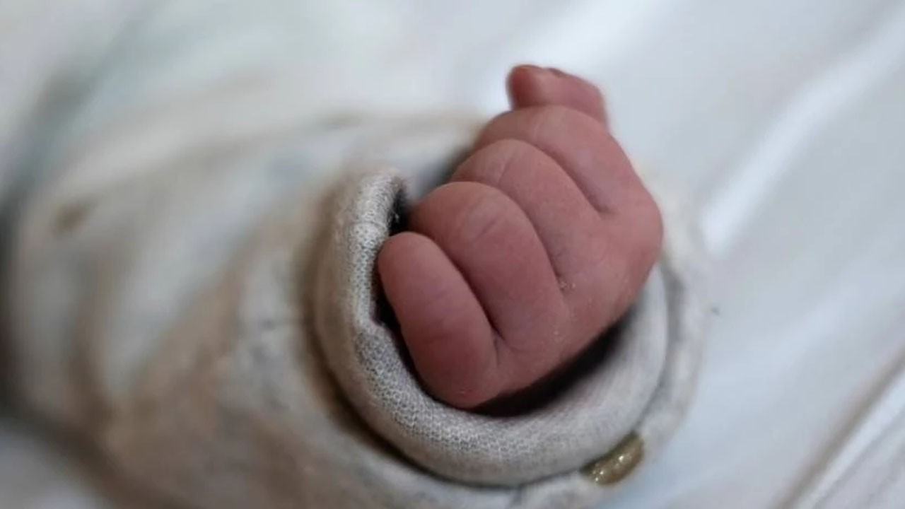 Bilim insanları laboratuvarda yumurta ile ilk kez bebek dünyaya getirdi! Fazla tehlikeli