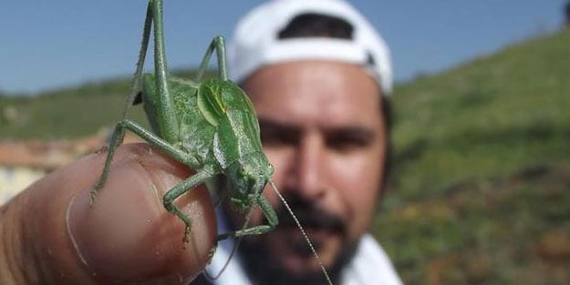 Bilim insanları “Mücadelesi çok zor