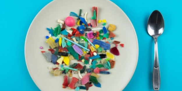 Bilim insanlarından yeni araştırma: İnsan plasentasıda toksik plastikler çıktı! Detayı akılları resmen kurcaladı