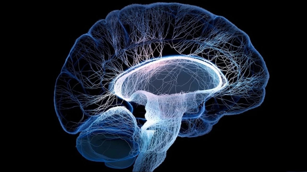 Otizmin genetik sırrı çözülüyor mu?