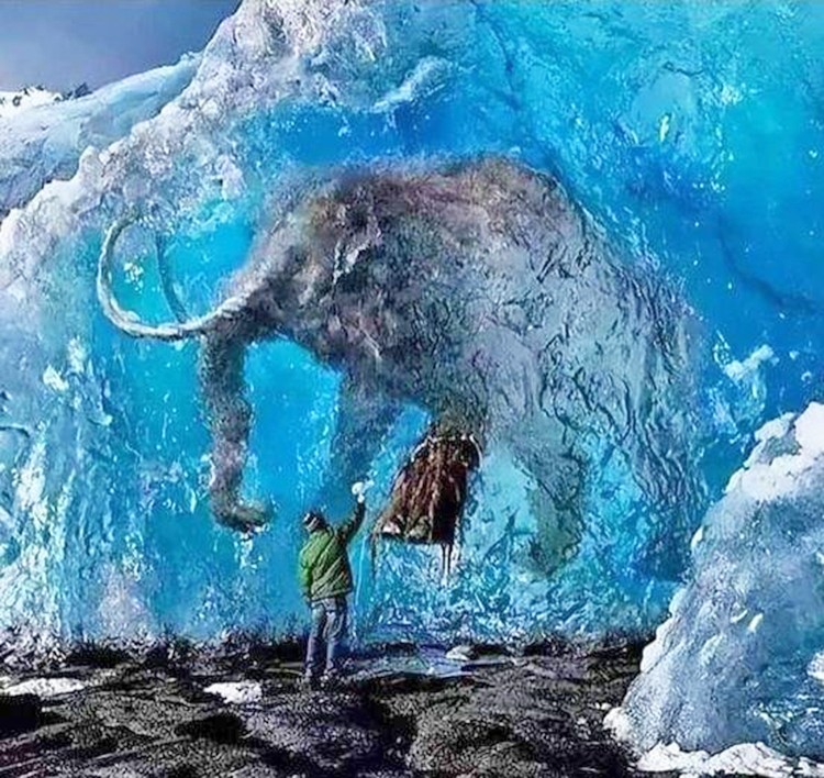 Bilim insanlarından bulunan mamut için tehlikeli plan: 39.000 yıllık yünlü mamut klonlanacak... Dinazorlar devri başlıyor