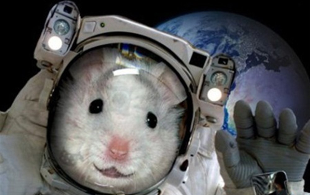 Bilim insanlarından büyük keşif! Bakın uzayda ilk kez ne yaptılar