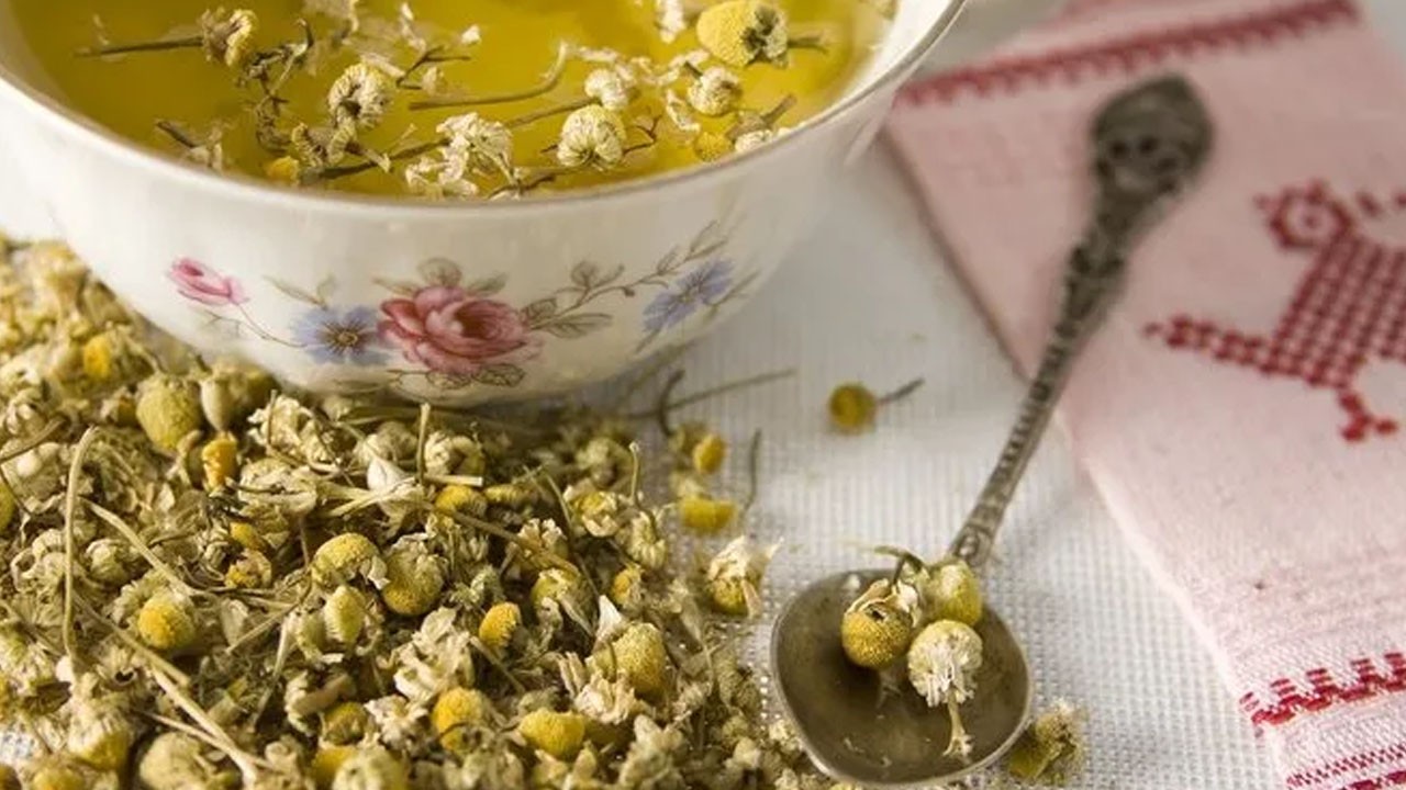 Bilim insanlarından mucizevi bitki açıklaması! Uzun yaşamın sırrı tek bir bardak "altın çayda"