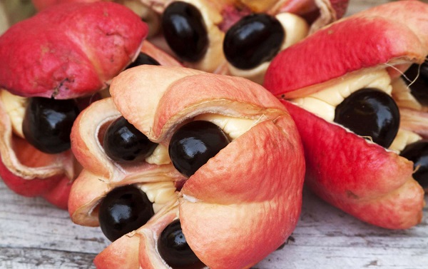 Bilimsel çalışmalar kanıtladı! Bu meyveyi yiyen kalp krizi geçirmiyor