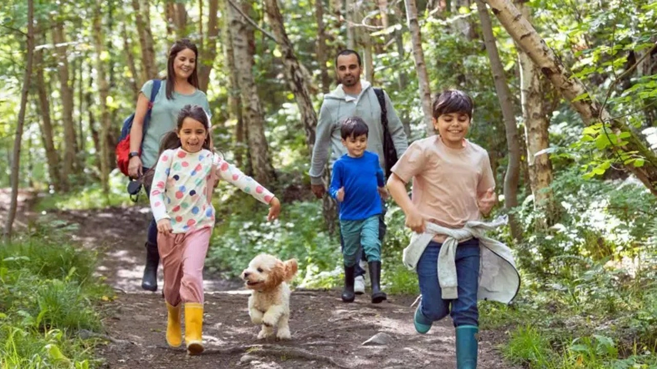 Bilimsel gerçek: Doğada 20 dakika kalmak vücudu yeniliyor