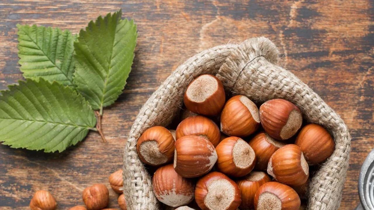 Bilimsel olarak kanıtlandı: Günde 5 adet fındık yiyin ve farkı görün