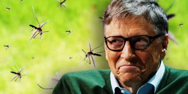 Bill Gates ürettiği yaratıkların hepsini Türkiye'ye mi saldı? İstanbul'da 'sivrisinek' paniği! Isırılan hastanelik oluyor