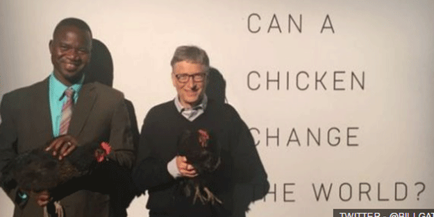 Bill Gates: Yoksulluğu tavuklar bitirecek