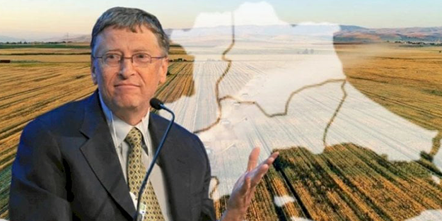 Bill Gates'in arazi topladığı Trakya'da sürpriz gelişme! Peynir ekmek gibi gitmeye başladı
