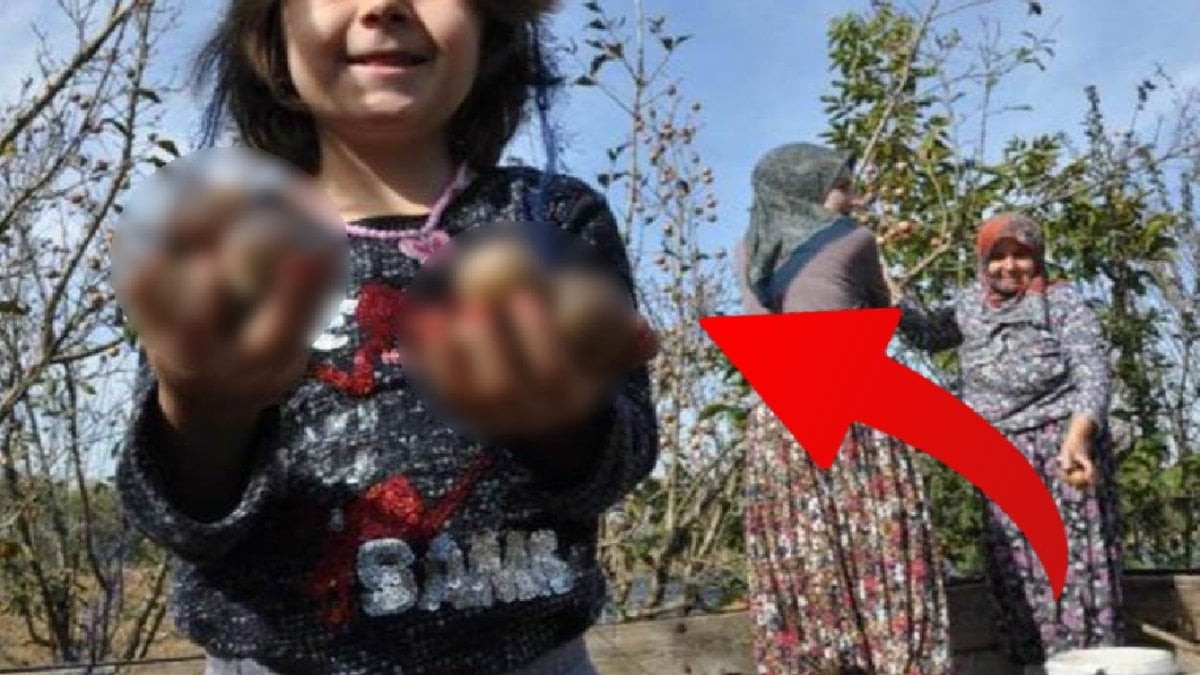 Bin derde bin deva! Yumuşasın diye depolarda bekletiliyordu, pazara inmesiyle kapış kapış sattı: Kilosu 25 TL'den tezgahta bir tane kalmıyor